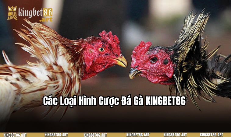 Các loại hình cược hiện có