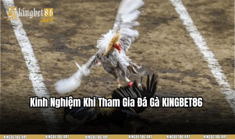 Kinh nghiệm khi tham gia tại sảnh game